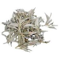 Feuille de sauge blanche